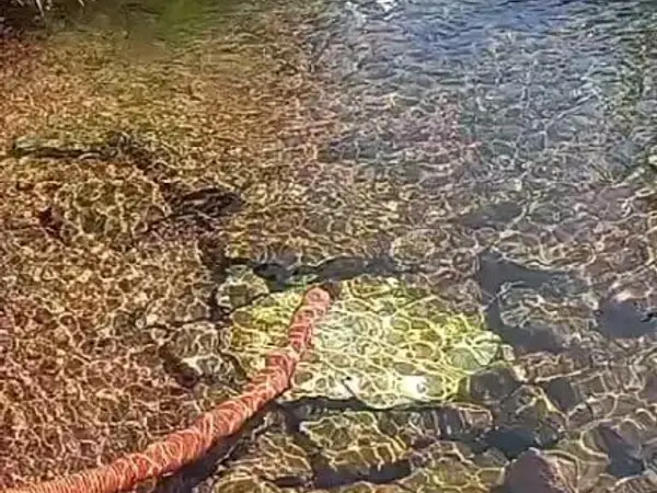 Fonte de água limpa em São Luís - MA