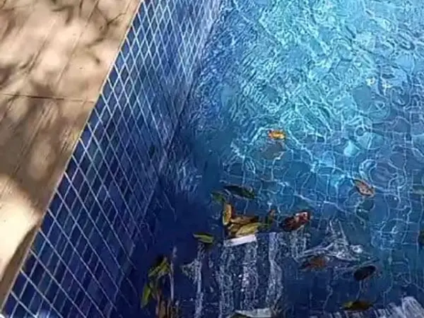 Piscina de pastilha azul recebendo água em São Luís - MA
