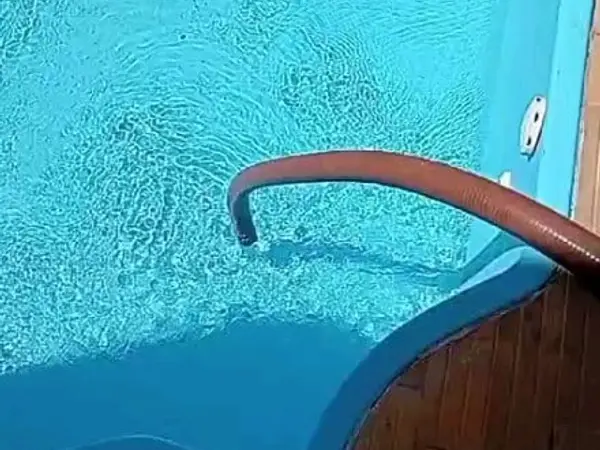 Mangote enchendo piscina de fibra em São Luís - MA