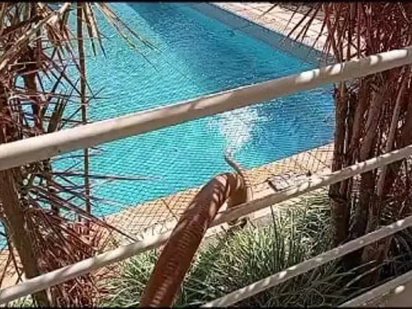 Piscina sendo enchida vista do jardim em São Luís - MA